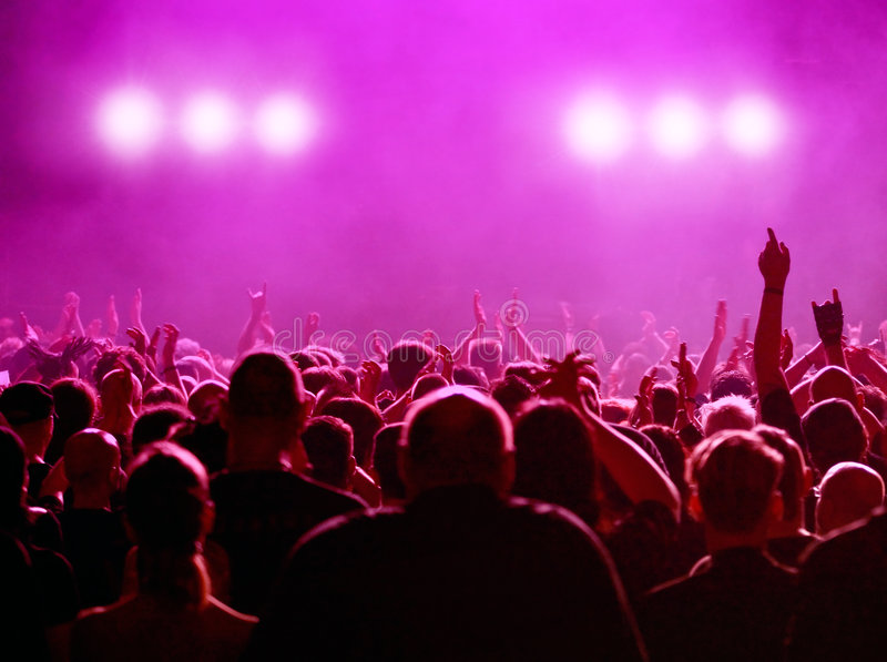 Crowd at a Concert